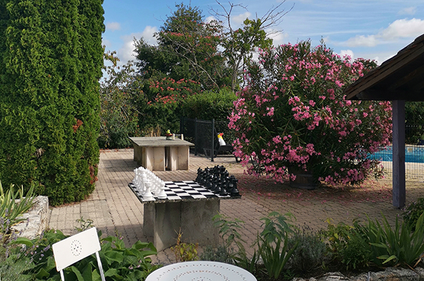 table shaded near swimming pool